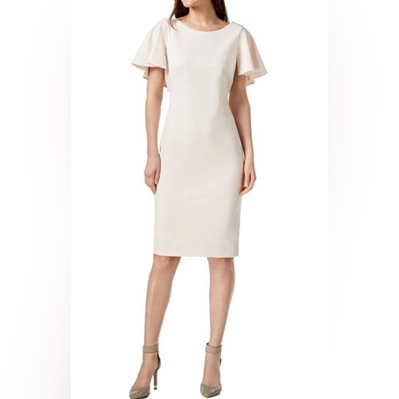 Calvin Klein Capelet Sheath Blossom Light Pink Scoop Neck Dress 
Size 10 - Picture 1 of 6